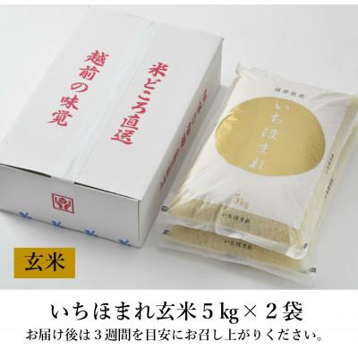 ふるさと納税 あわら市 【令和6年産】いちほまれ 玄米 5kg×2袋(計10kg)《新鮮な高品質米をお届け!》 |  | 03
