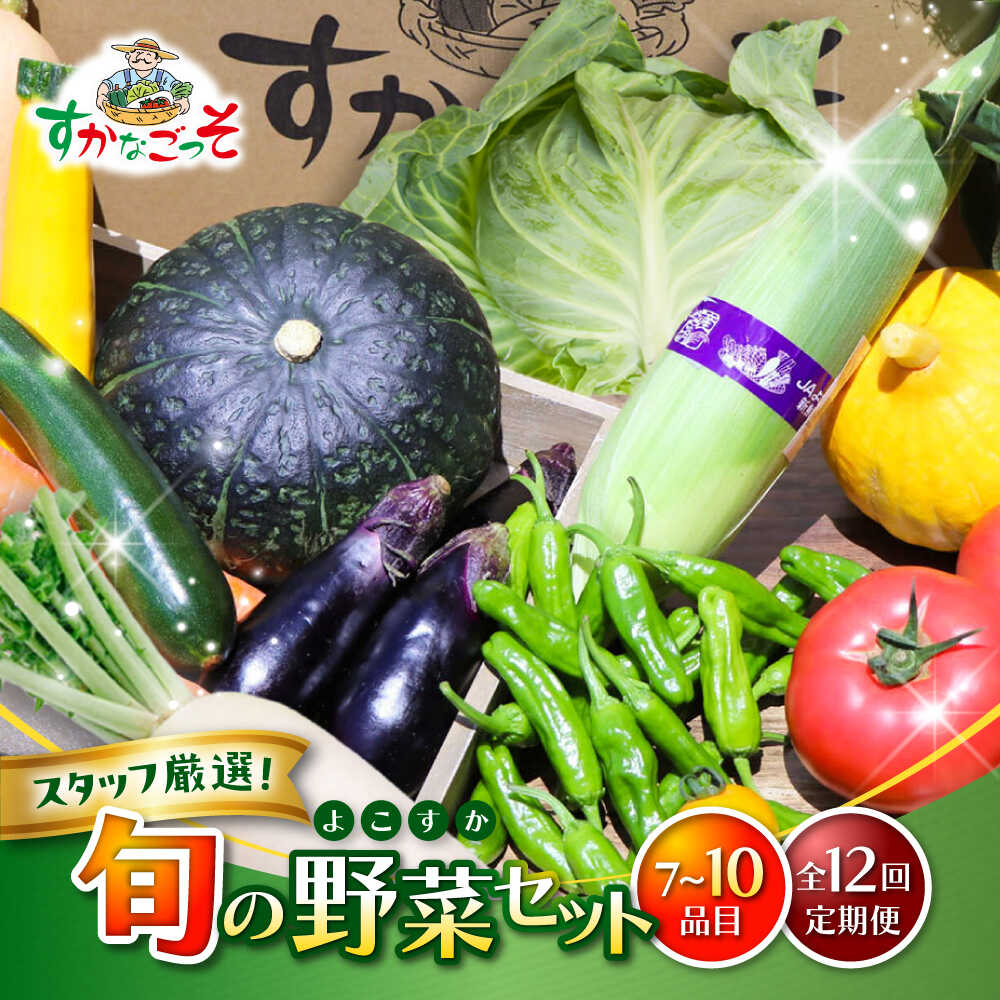 【ふるさと納税】【全12回定期便】よこすか野菜セット すかなボックス / 野菜 やさい 野菜ボックス 野菜セット 野菜詰め合わせ 野菜BOX【JAよこすか葉山】[ASCB004]