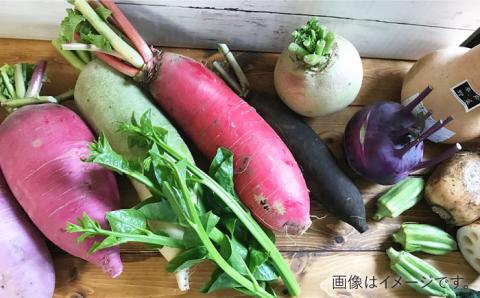 【全6回定期便】旬を味わう 『糸島野菜セット』 10～14種（計14パック） 年6回お届けコース イタリア野菜 オーガニック 野菜ソムリエ松永【vegeLabo】[AJB002]