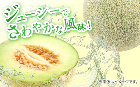 【2025年5月～発送】【さわやかな味!】訳あり タカミメロン 3箱セット（傷もの）/ メロン めろん フルーツ 果物 / 南島原市 / 南島原果物屋[SCV027]