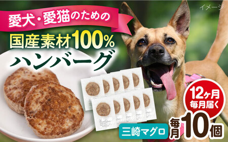 【全12回定期便】ペットフード 三崎マグロ 100%ハンバーグ 10個セット ペット 犬 猫 手作り 国産 てづくり こだわり まぐろ ドッグフード  ドッグフード ペットフード 横須賀 【ペットフードYM japan】 [AKEX005]