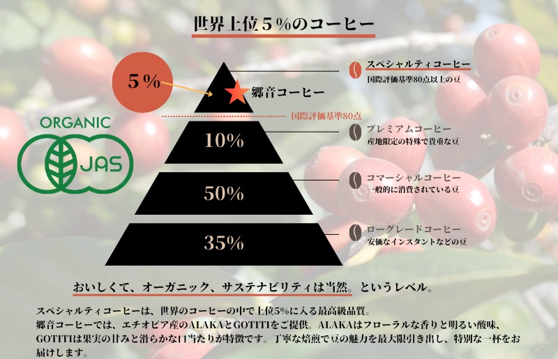 スペシャルティコーヒー焙煎豆 浅煎り 300g 定期便 全6回【2か月に1回配送 珈琲 COFFEE コーヒー オリジナル キャンプ アウトドア】 G1408