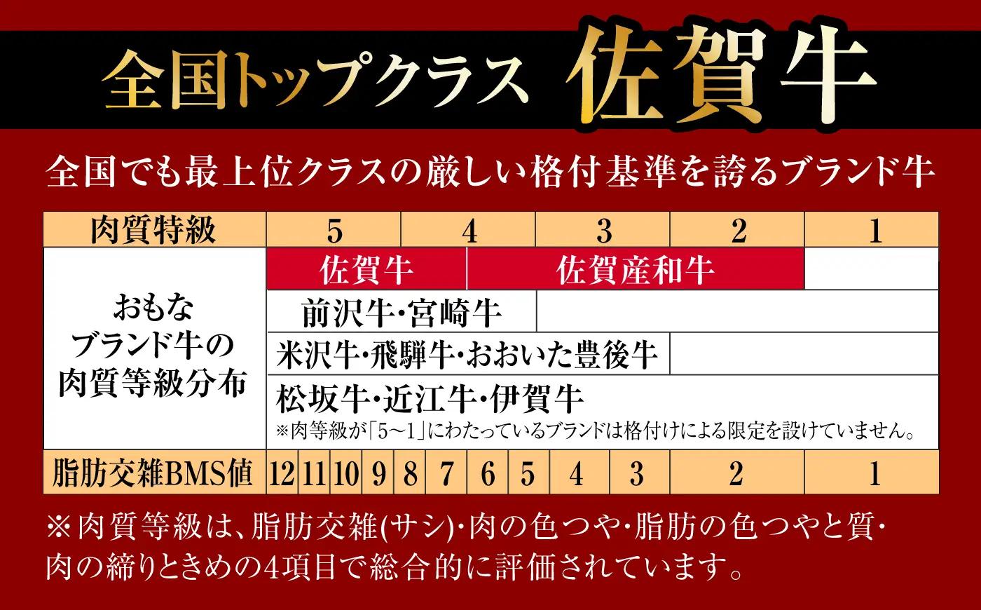 【全6回・偶数月】佐賀牛 牛肉定期便 約1-2人前 総計1.66kg 隔月発送 UCC006