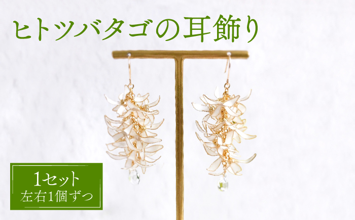 ヒトツバタゴ の 耳飾り （ ピアス ・ イヤリング 選択可能）【合同会社かもめ】《対馬市》アメリカンフラワー フック おしゃれ アクセサリー プレゼント [WBP004]