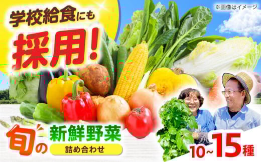 【数量限定】厳選！旬を味わう高槻野菜おまかせ詰め合わせセット 9月（10種～15種）　大阪府高槻市/高槻あぐり [AOCS015]