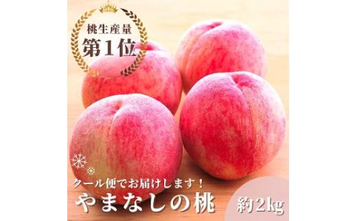 ＜2024年先行予約＞オギノフルーツ定期便（桃 約2kg・シャイン 1.2kg以上） 136-013