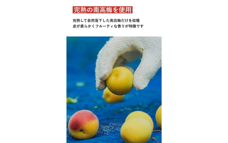 【最大３ヶ月待ち】【無添加梅干し】天日塩と紫蘇だけで漬けた梅干し1kg/塩分約15％　 梅干し 無添加 南高梅 梅ボーイズ うめひかり 天然塩 紫蘇 しそ ご飯のお供【umehkr002A】