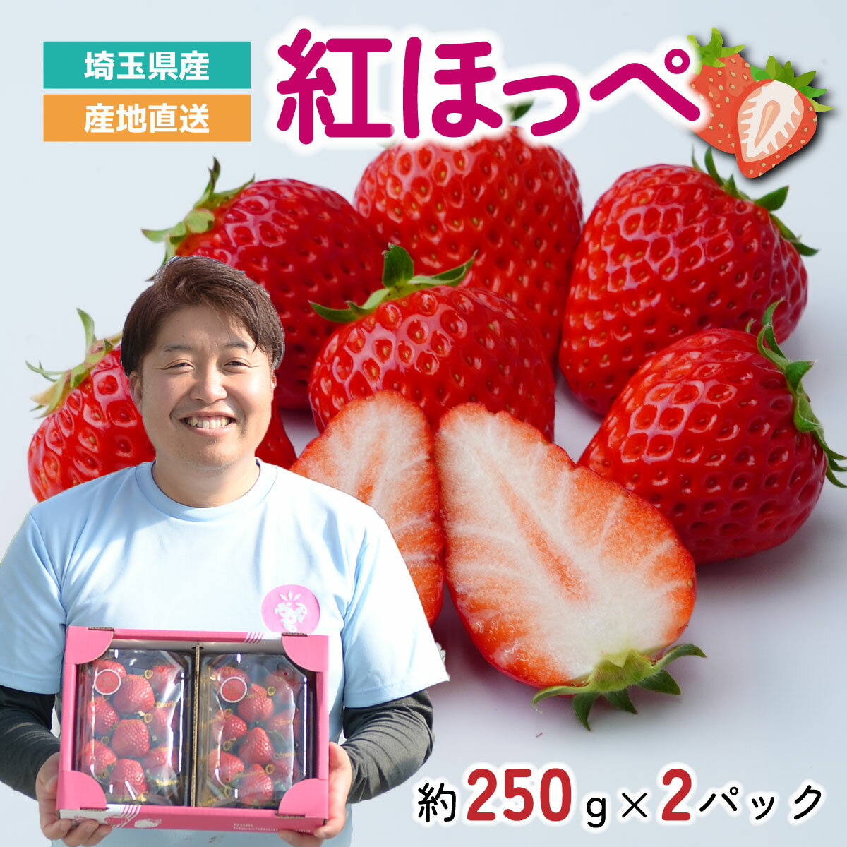 【ふるさと納税】いちご 紅ほっぺ 2パック 約500g (1パック 約250g 4〜15粒) | 紅ほっぺ いちご イチゴ 苺 大粒 酸味 甘い 甘さ 甘み おいしい 美味しい 新鮮 季節限定 期間限定 限定 果実 食べやすい 贈り物 贈答 果物 産地直送 フルーツギフト solfarm 埼玉県 東松山市