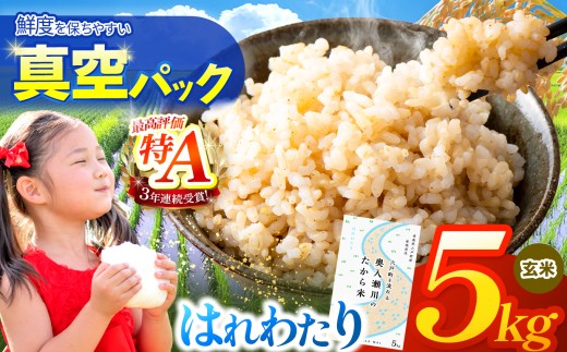 鮮度を保ちやすい 真空パック ！はれわたり 玄米  5kg | 米 お米 こめ コメ 5kg 2025年産 令和7年度産 国産 産地直送 もっちり 甘み 定期 青森の旨い米グランプリ 最優秀賞 獲得 水稲 宝精米所 青森県 六戸町