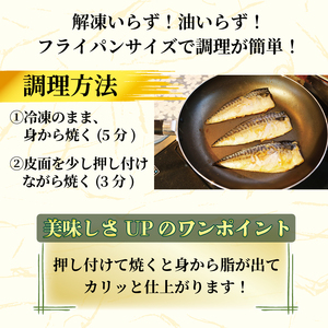 訳あり 塩サバ 約5kg 冷凍 鯖 塩 さば 魚 さかな 海鮮 海産物 おかず ご飯 おすすめ 人気 愛知県 南知多町 【配送不可地域：離島】サバ  鯖 サバ  鯖 サバ  鯖 サバ  鯖 サバ  鯖