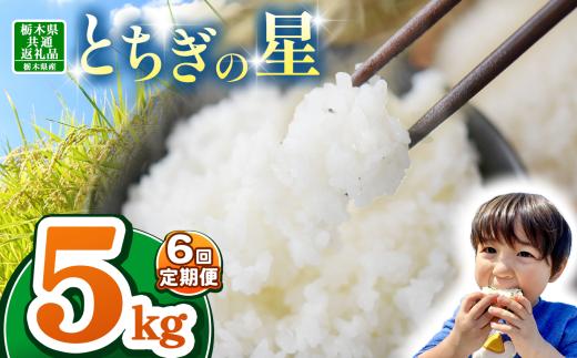 【栃木県共通返礼品】【令和7年度新米】栃木県産とちぎの星 30kg |定期便 選べる ふるさと 納税 とちぎの星 お米 精米 白米 玄米 大粒 共通返礼品 送料無料 那珂川町 栃木県