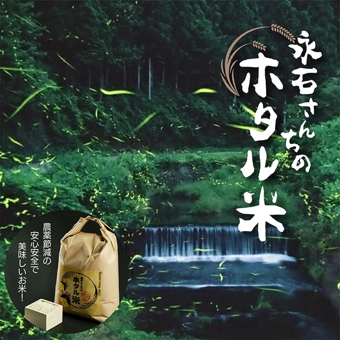 【令和7年産】さがびより 精米10kg（5kg×2袋）ホタル米 永石さんちのお米 _z-60