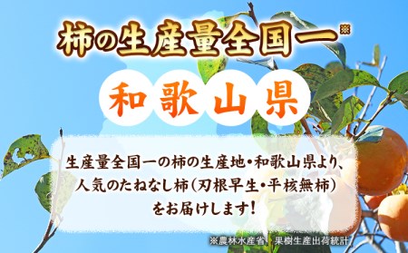 【ご家庭用】和歌山産のたねなし柿約7.5kg Lまたは2LサイズおまかせまたはM～3Lサイズ混合(個数目安:28玉～40玉)《10月上旬-11月末頃出荷予定》 和歌山県 紀の川市 紀の川市厳選館 柿 