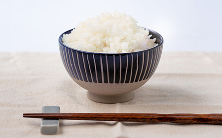 令和5年産　コシヒカリ 5kg【1431741】