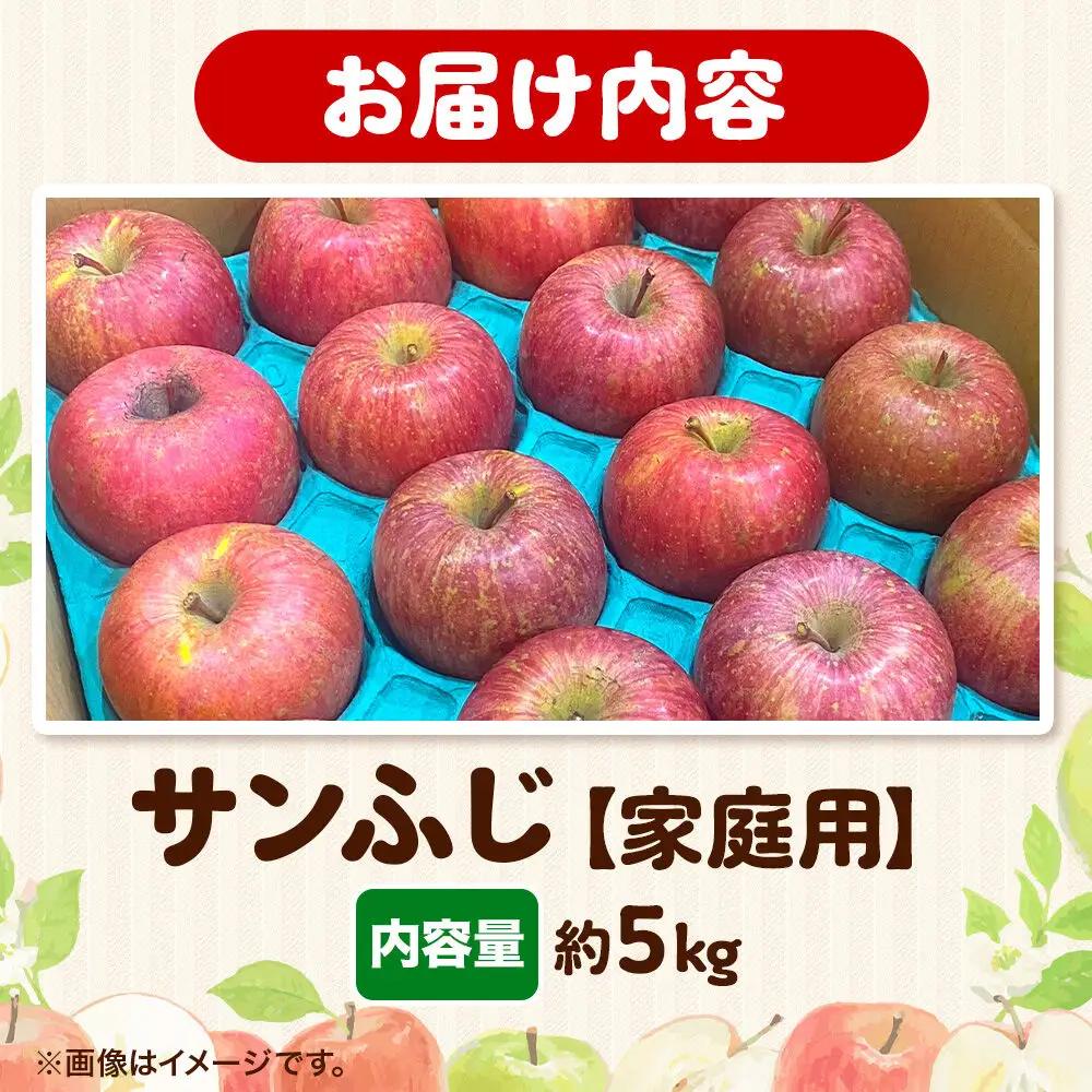 りんご  サンふじ 約5kg【家庭用】 りんご