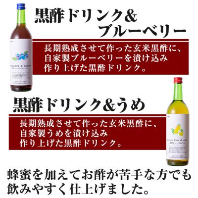 ふるさと納税 霧島市 長命ヘルシン酢セット(竹)【長命ヘルシン酢醸造】C-059 　 |  | 02