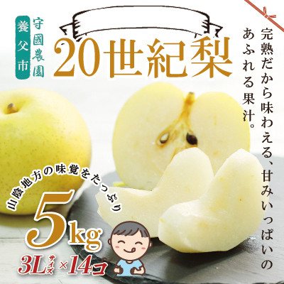 
            先行予約！守國農園　養父市産　二十世紀梨5kg（3Lサイズ×14個）
          