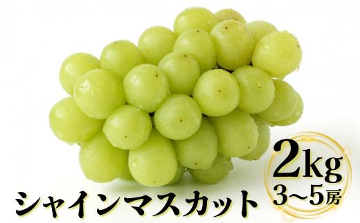 【先行予約】【ＪＡ】　シャインマスカット　赤秀2kg箱（3～5房入） ※着日指定不可 ※離島への配送不可 ※2024年8月下旬～9月中旬頃に順次発送予定