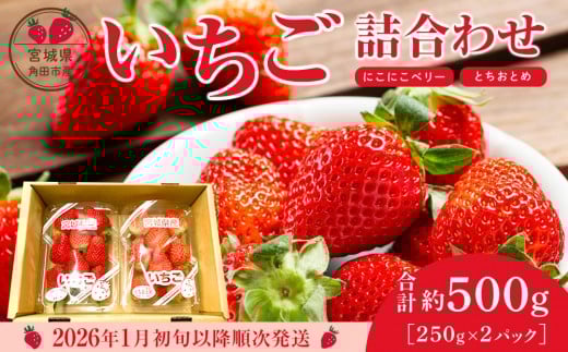 
            【先行予約】【JAみやぎ仙南】宮城県角田市産いちご　にこにこベリー・とちおとめ詰合せ　合計約500g（250g×2パック）【2026年1月初旬より順次配送】
          