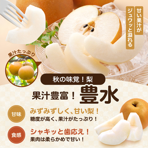 梨 豊水 糖度 14度 以上 約5kg 【2026年月9月上旬～発送】