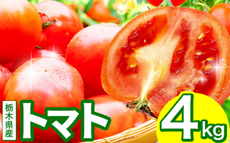 とまとトマト 約4㎏  | 栃木県 下野市