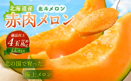 ＜先行予約＞北斗メロン（LLサイズ）4玉（合計約8kg） フルーツ メロン 赤肉 甘い 果物 くだもの 国産 お取り寄せ 北海道 深川市 【2026年6月下旬～7月下旬順次発送予定】