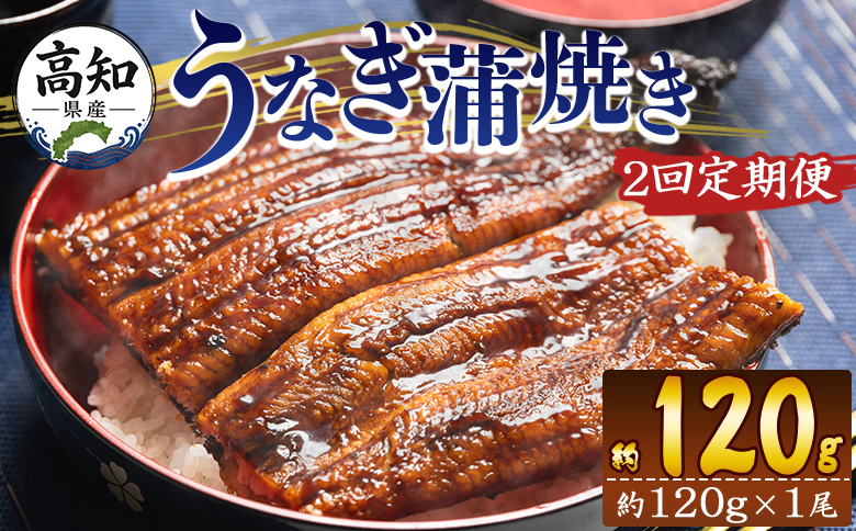 【２回定期便】高知県産養殖うなぎ蒲焼き 100～120g 1尾 うなぎ 魚介 国産 海鮮 魚 かばやき 鰻 ウナギ 惣菜 おかず お手軽 加工品 加工食品 冷凍 Wfb-0033