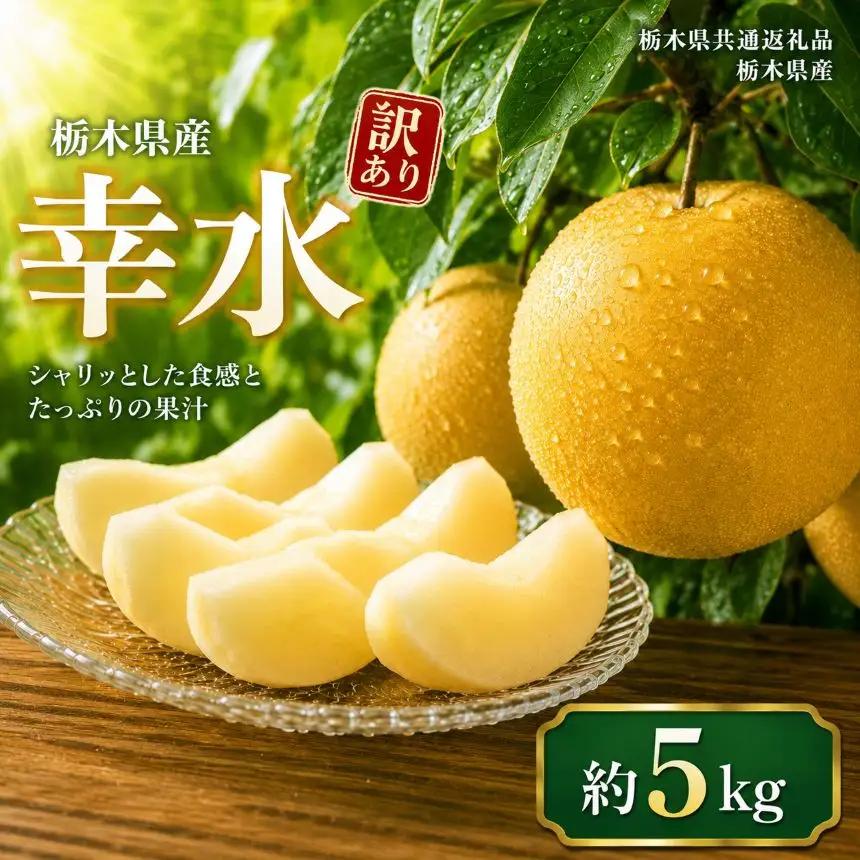 【2027年先行予約】訳ありサイズランダム 幸水 5kg | 栃木県共通返礼品 栃木県産 栃木県 那珂川町