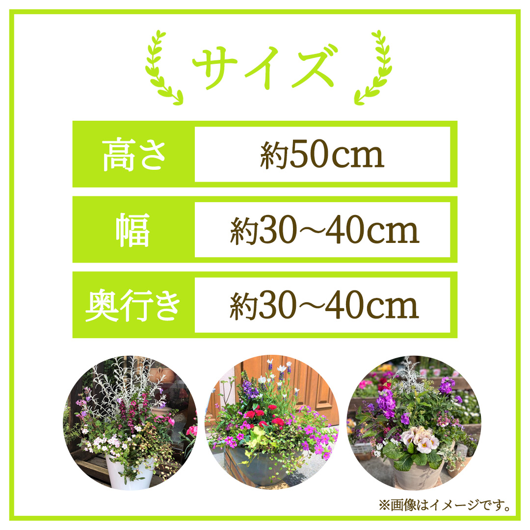 季節の寄せ植え＜花わたひき＞ (BY002)