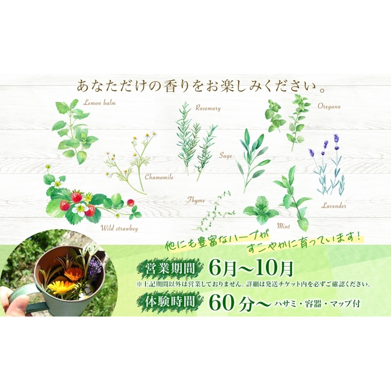 北海道 アロマ ウォーター 蒸留 摘みたて ハーブティー 体験 ハーブ フレッシュ オリジナル  ハーブ畑 天然  リラックス 癒し リラクゼーション ハーバルランチ 送料無料 洞爺湖_イメージ4