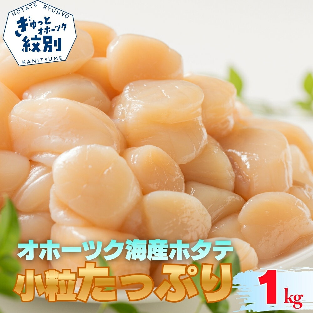 【ふるさと納税】北海道 オホーツク海産 ホタテ玉冷小粒サイズ | ほたて ホタテ hotate 帆立 貝柱 玉冷 国産 北海道産 ギフト 贈答用　お取り寄せ ご当地 名物 北海道 紋別市 紋別 アザラシ