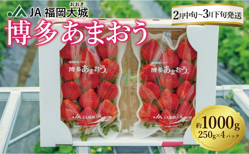 ★先行予約★いちごの王様 福岡県産博多あまおう270g×4パック【2026年2月中旬～3月順次出荷予定】
