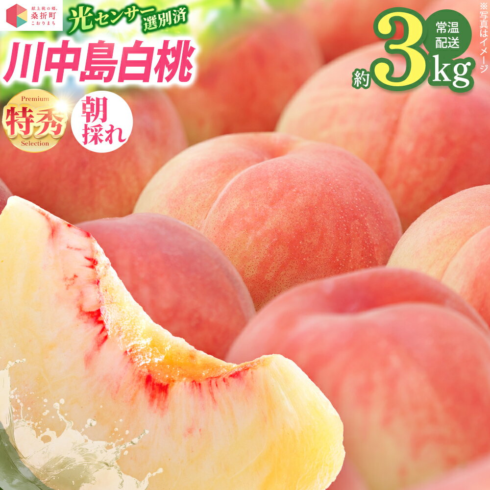 【ふるさと納税】もも【川中島白桃・2026年産】特秀3kg（9〜11玉）桑折町振興公社 ／ もも モモ 果物 フルーツ 旬 甘い 甘み ジューシー 果肉 果汁 朝採り 新鮮 フレッシュ デザート おいしい 産地直送 桑折 こおり こおりまち 福島県 特産品 【07301-0184】