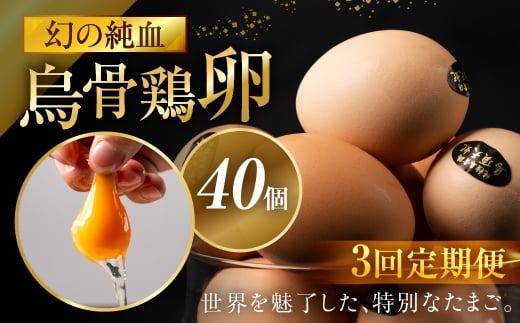【定期便 3ヶ月】烏骨鶏卵 モールド 40個セット (10個入 × 4パック) たまご 卵 玉子 鶏 高級 高級卵
