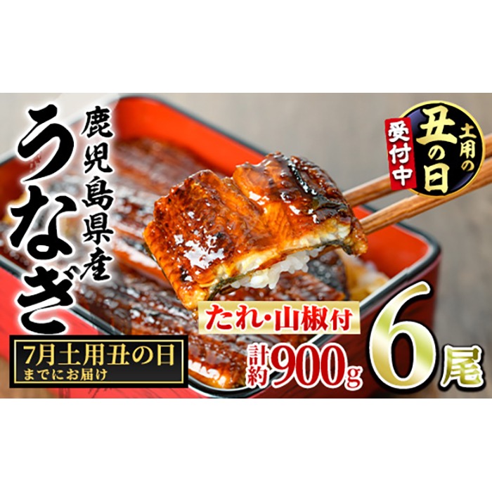 【0394344a-2607】＜土用の丑の日までにお届け＞東串良町のうなぎ蒲焼(無頭)(6尾・計約900g・タレ、山椒付) うなぎ 高級 ウナギ 鰻 国産 蒲焼 蒲焼き たれ 鹿児島 ふるさと 人気 丑の日 【アクアおおすみ】
