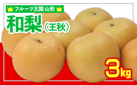 ☆フルーツ王国山形☆和梨 (王秋) 秀品 3kg【令和8年産先行予約】FS24-777 くだもの 果物 フルーツ 山形 山形県 山形市 2026年産
