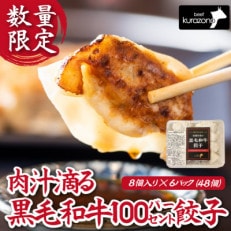 【A002・肉汁あふれる】倉薗牧場肉汁滴る黒毛和牛100%餃子　6P(48個)