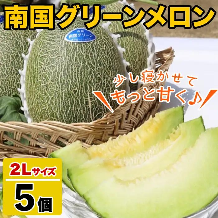 鹿児島県産！南国グリーンメロン(2Lサイズ×5個) メロン めろん 果物 スイーツ デザート フルーツ 【あくね旬の店いきいき館】akn015-19