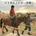 【ふるさと納税】引き馬＆ふれあい体験　【 体験チケット 日本在来馬 和種馬 ブラッシング 手入れ ふれ合い ホースセラピー 動物 】