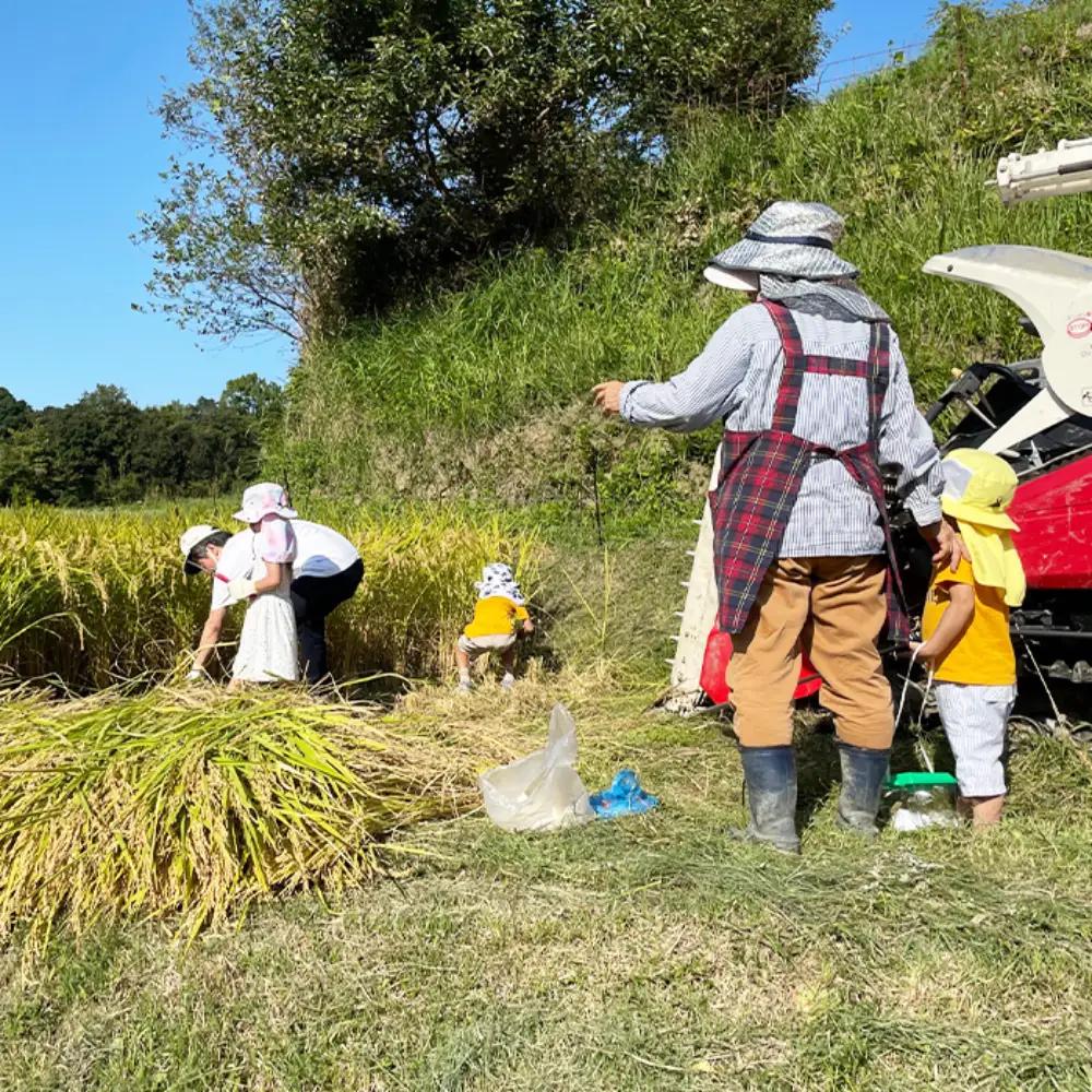 【定期便】淡路島の棚田米 ３kg×６回　白米