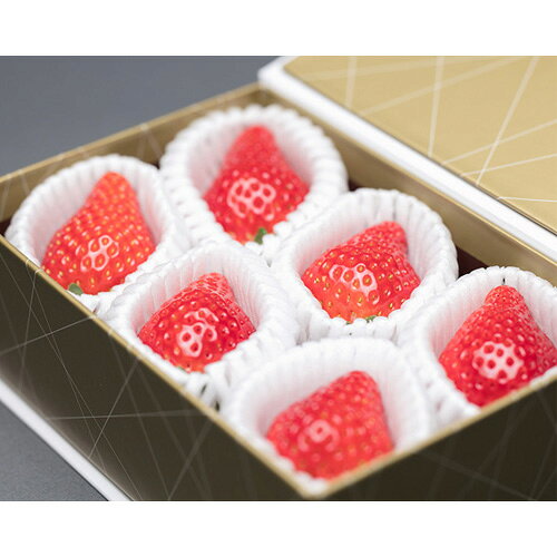 【ふるさと納税】とちおとめ 特別厳選 まなこころ・彩（210g【6粒】） ｜ とちおとめ トチオトメ イチゴ 苺 いちご 新鮮 大粒 箱 真心農園 果物 フルーツ 自然 甘い 美味しい ジューシー ビタミン おいしい おすすめ 贈り物 ギフト 埼玉県 東松山市