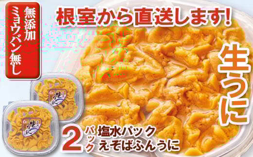 E-71031【年内配送可】 エゾバフンウニ塩水パック200g×2P[11月中旬以降発送]