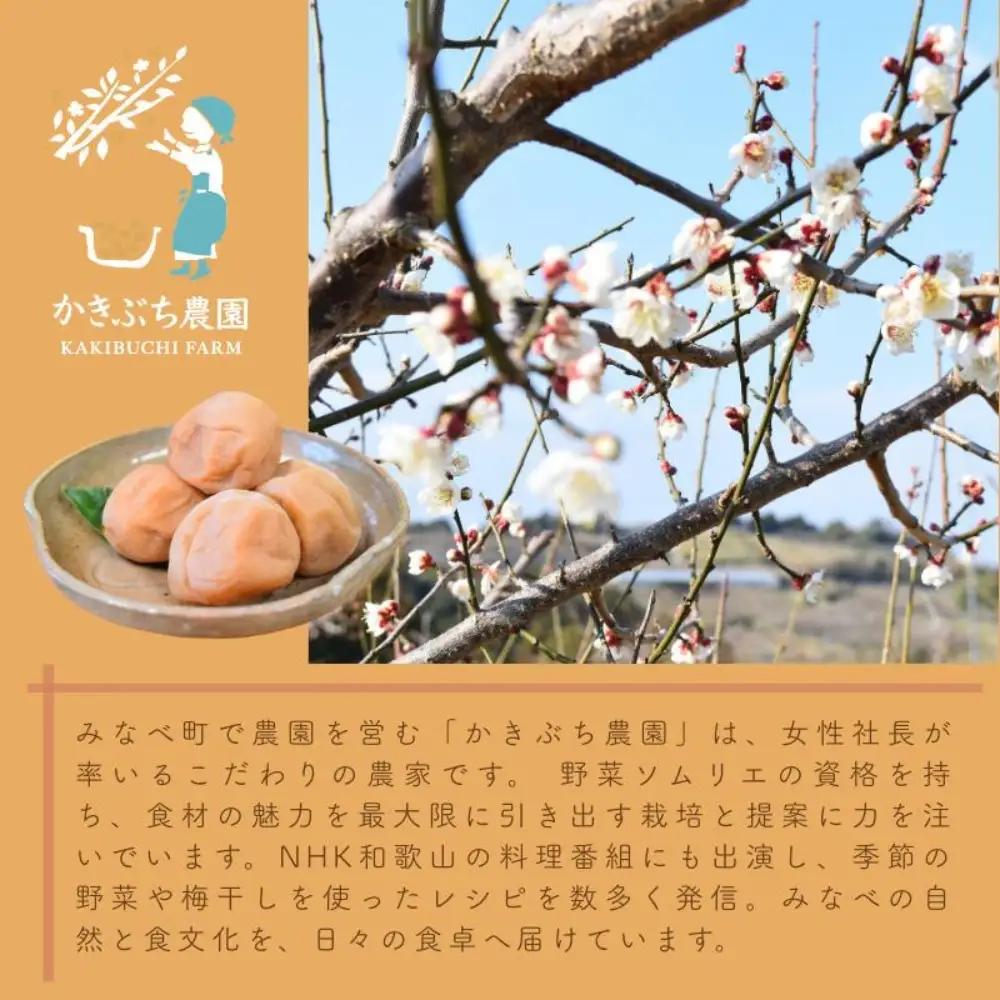  野菜ソムリエ仕込み 梅酢・梅シロップセット 紀州南高梅使用 200ml×各1本【kkbc004】