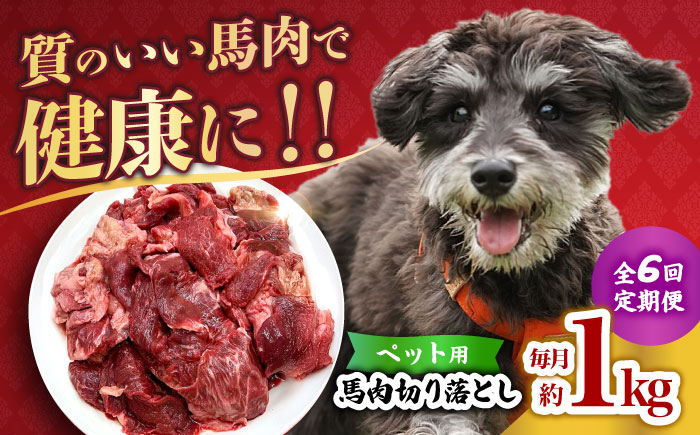【全6回定期便】国内加工 ペット用 馬肉 切り落とし 1kg  【合同会社　長岡フーズ】 [ZFR055]