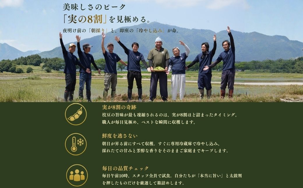 【先行予約】 朝どり新鮮 新潟 枝豆 えだまめ 茶豆 3kg | 特産品 野菜 おつまみ 晩酌 濃厚な甘さ お取り寄せ おすすめ プレゼント ギフト 贈答 贈り物 3キロ 新潟県 弥彦村 農事組合法人