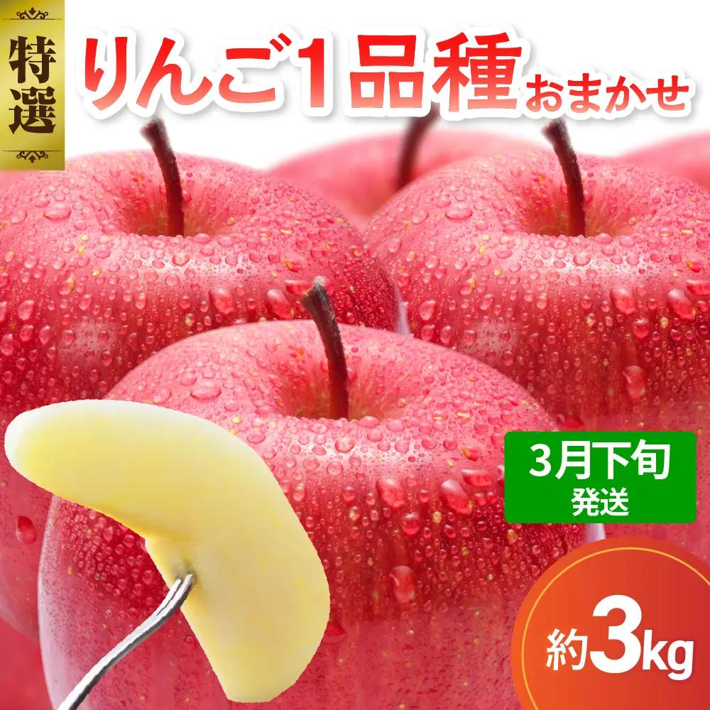 【2027年3月下旬発送】【特選】 りんご 約3kg おまかせ1品種 青森産 りんご