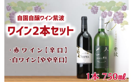 産地限定 ワインぶどう品種使用 ワイン2本セット 自園自醸ワイン紫波 紫波町産 テロワール ワイン (AL040-1)