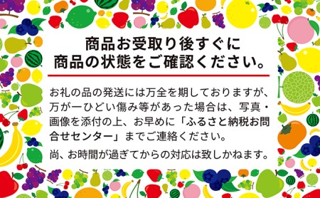 【先行受付/2024年11月出荷開始】仁木町の採れたてりんご「ふじ」4.5kg［妹尾観光農園］ 北海道 果物 フルーツ リンゴ