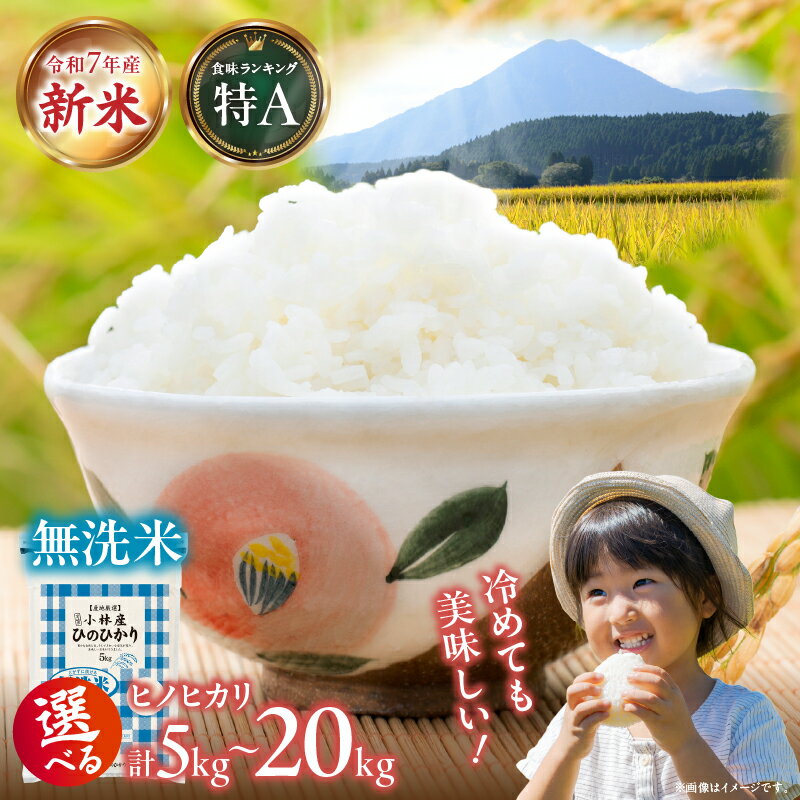 【ふるさと納税】【選べる内容量】【新米 令和7年産】無洗米ヒノヒカリ 5kg~20kg（国産 米 新米 無洗米 お米 令和7年新米 精米 数量限定）