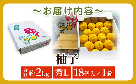 ＜柚子 秀 Lサイズ 18個＞ 約2kg 2000g ゆず 国産 果物 フルーツ 低樹高栽培 おいしい JAひがしうわ 東宇和農業協同組合 愛媛県 西予市【常温】『2025年10月下旬～11月下旬迄に